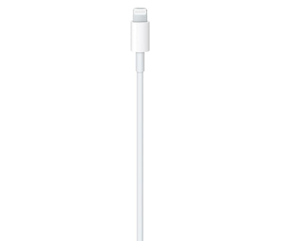 Cabo Apple USB-C para Lightning (1 m)